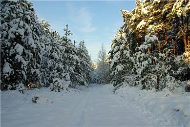 Gearbox分享《无主之地4》优化技巧：开启DLSS？