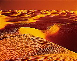 休闲解谜游戏《SudoKats》现已在Steam发售 国区6元