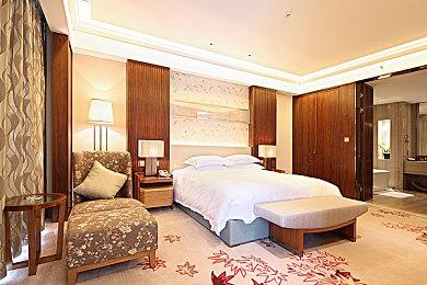 《世界汽车拉力锦标赛10》IGN 8分 节奏快 设计巧妙