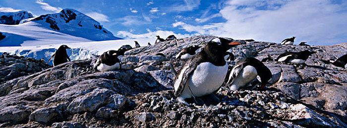 《房产达人》新DLC上线 西餐厅改装经营玩法登场